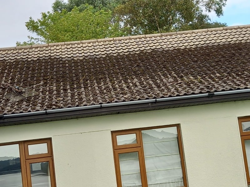 Moss Removal Roof Cleaning Cork, Soft Wash Roof Cleaning - Bestway Property Cleaning