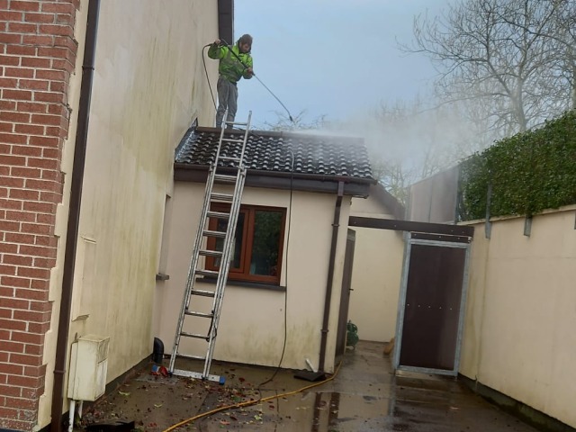 Roof Cleaning Company Cork, Clean and Treat Roofs, Moss Removed from Roof