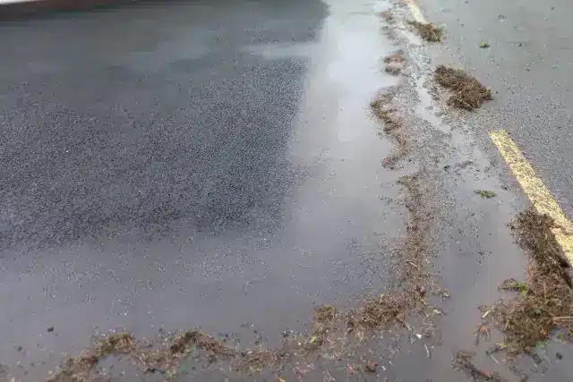 Driveway cleaning with moss being removed from tarmac in Cork